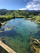 The Blue Hole spring in Koromiko, located 15 minutes south of Picton, green mountains surround the clear blue water.
