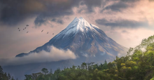 Mount Taranaki with clouds and trees in the foreground. Photo by Lukas Trixl.