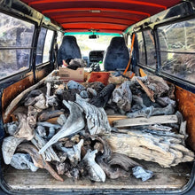 The back of our adventure van filled with Ocean Beach driftwood that we have just collected.