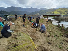 Volunteers participating in a community native species planting event along the banks of the Blue Hole spring with mountains in the background. 