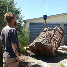 Benjamin happily overseeing the delivery of a large Redwood stump being placed on our driveway by a crane