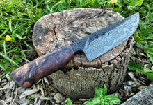 Decorative Damascus petty chef knife with a wooden handle on a tree stump outdoors