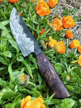 Decorative Damascus knife with a wooden handle on a bed of green leaves and orange flowers