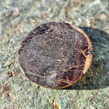 Round slice of fossilised whale bone on a textured pale green stone